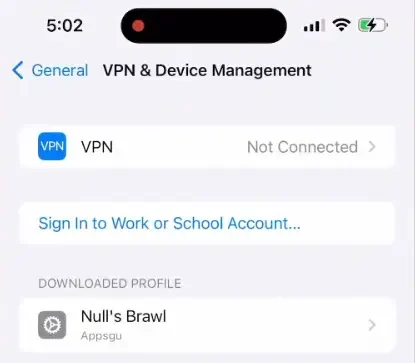 Profil Null's Brawl IPA